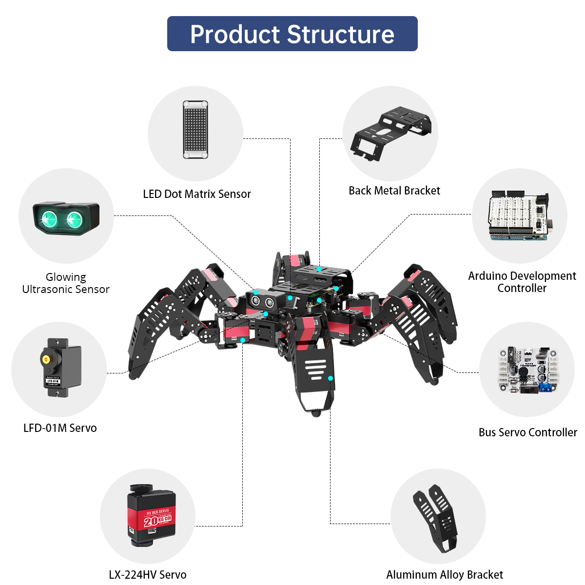Hiwonder Spiderbot, Robot Arañ - Robotics Kit reseña y precio