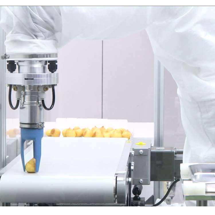 Brazo Robótico CNC de 6 Ejes c - Robot Gripper reseña y precio